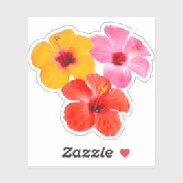 Rot Orange Pink Hibiskus Blumen Aufkleber