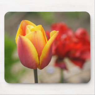 Rot-Orange Tulips Mousepad