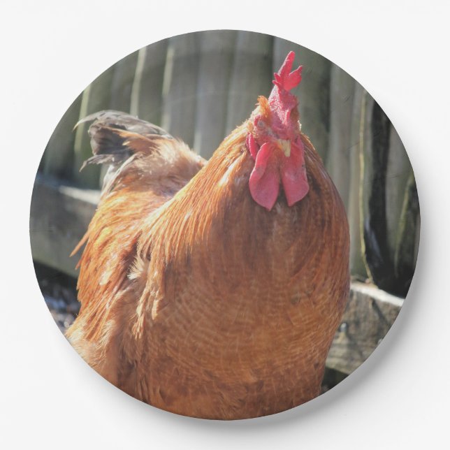 Rot Pappteller (Vorderseite)