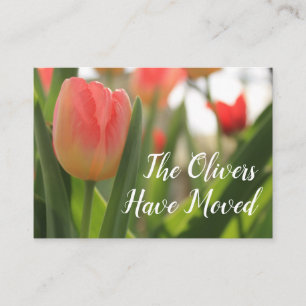 Rot & Pink Tulpen-Foto Adressänderungskarte Visitenkarte