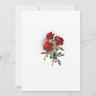 Rot-Romantische Rose Einladung