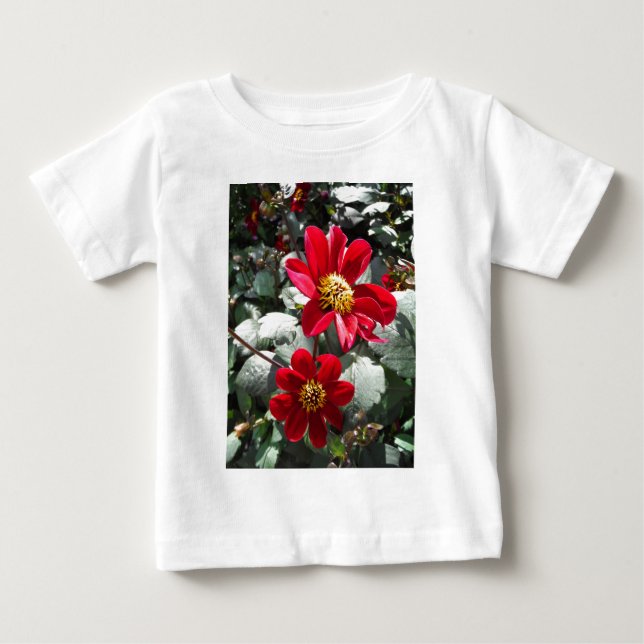 Rot-Rosa-Disy / Gänseblümchen Blume Baby T-shirt (Vorderseite)