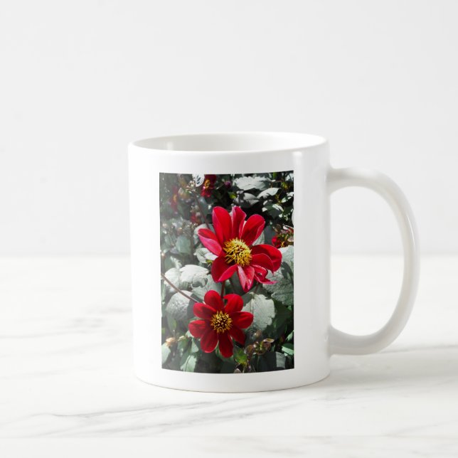 Rot-Rosa-Disy / Gänseblümchen Blume Kaffeetasse (Rechts)
