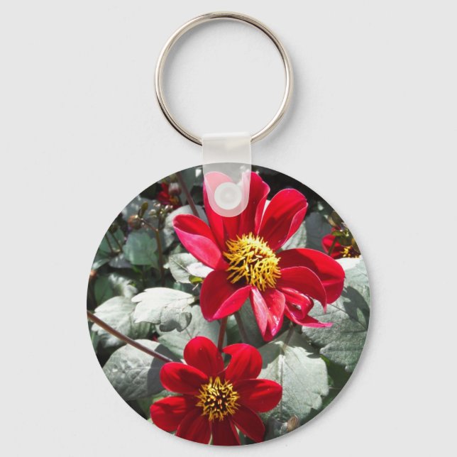 Rot-Rosa-Disy / Gänseblümchen Blume Schlüsselanhänger (Vorderseite)
