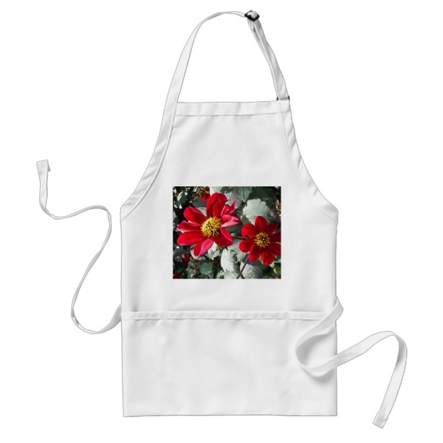 Rot-Rosa-Disy / Gänseblümchen Blume Schürze (Vorne)