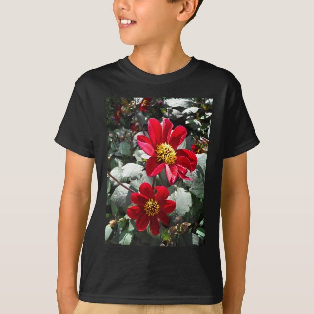 Rot-Rosa-Disy / Gänseblümchen Blume T-Shirt (Vorderseite)