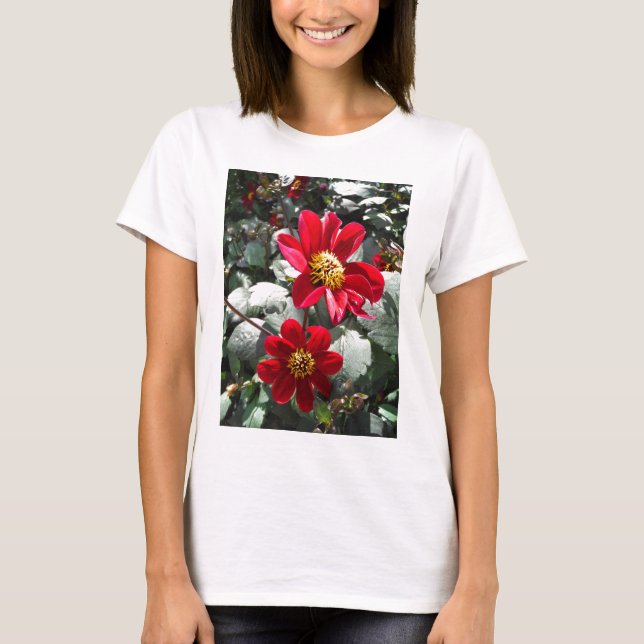 Rot-Rosa-Disy / Gänseblümchen Blume T-Shirt (Vorderseite)