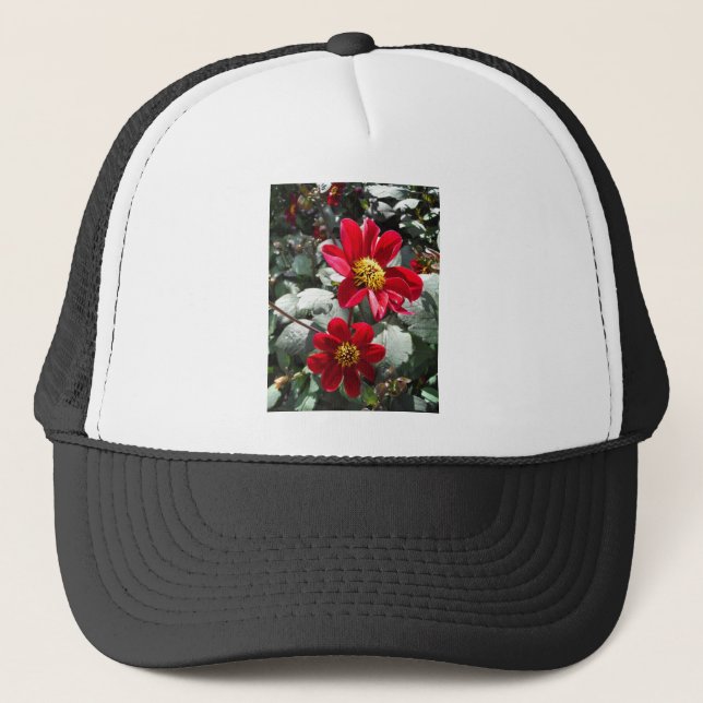 Rot-Rosa-Disy / Gänseblümchen Blume Truckerkappe (Vorderseite)