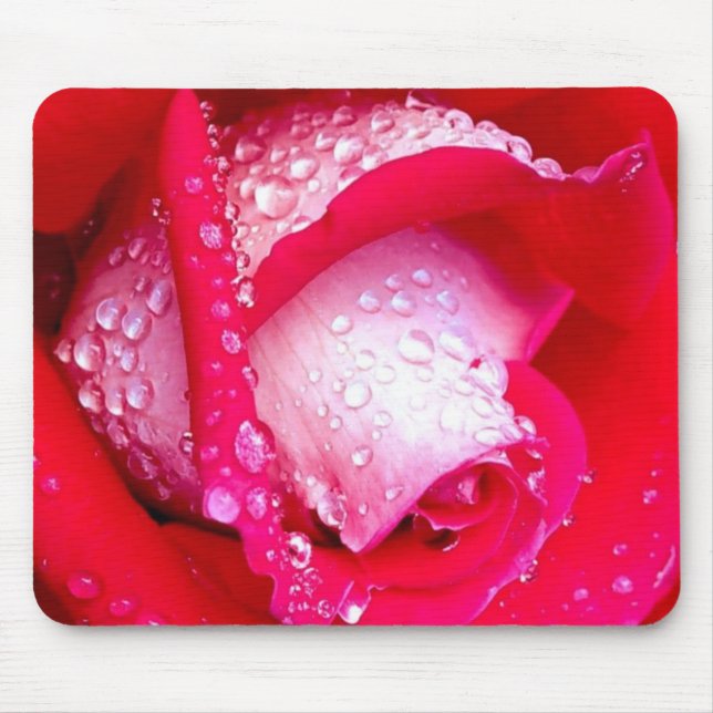Rot/rosa Tau-Geküsste Rose Mousepad (Vorne)