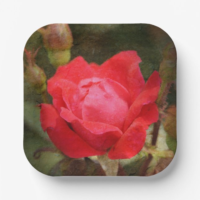 Rot, Rote Rose Pappteller (Vorderseite)