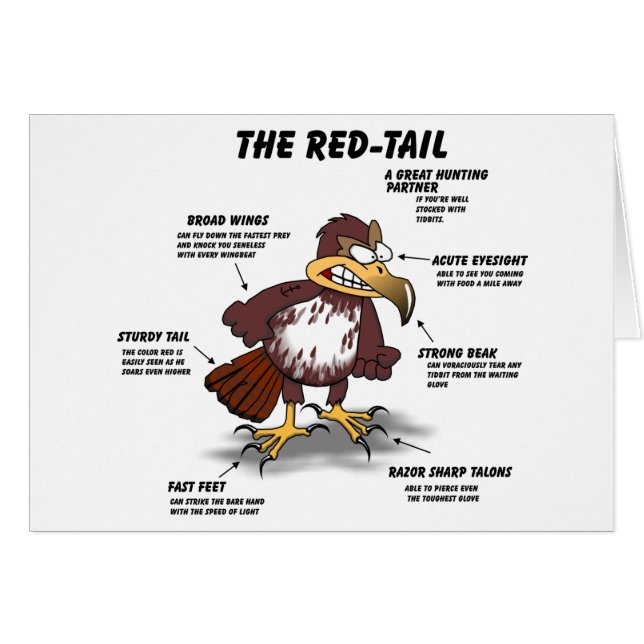 Rot-Schwanz Falke-Cartoon (Vorderseite (Horizontal))