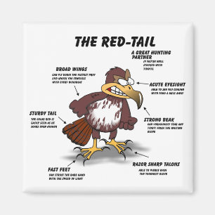 Rot-Schwanz Falke-Cartoon Magnet