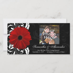Rot, Schwarz und Weiß Scroll Gerbera Daisy Save The Date