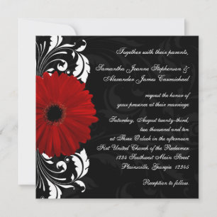 Rot, Schwarz und Weiß Scroll Gerbera Daisy Square Einladung
