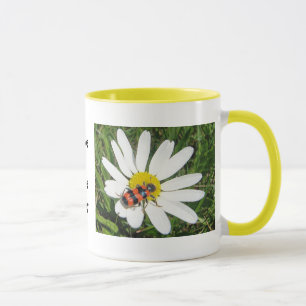 Rot-schwarzer Käfer auf weisser Margerite, Tasse