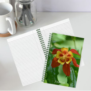 Rot und Gelb-Bicolor-Kolumne Notizbuch