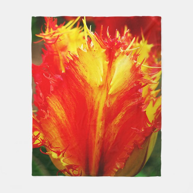 Rot und gelb Nah-oben Curly Tulip Fleecedecke (Vorderseite)