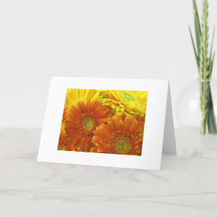"Rot und Gelb und Orange Dahlias" Karte