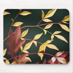 Rot und Gold Mousepad