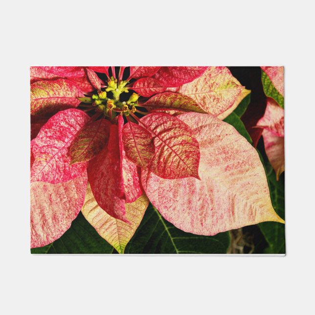 Rot und Goldpoinsettia-Tür-Matte Fußmatte (Vorderseite)