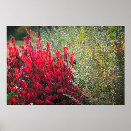 Rot und Grün Poster