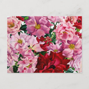 Rot und Rosa Rosen 2008 Postkarte