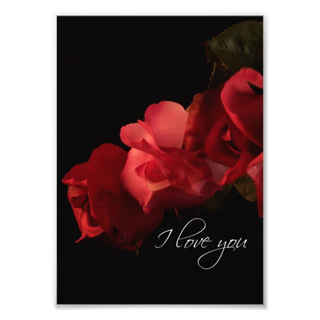 Rot und Rosa Rosen "I Liebe you" Foto Drucken (Vorne)