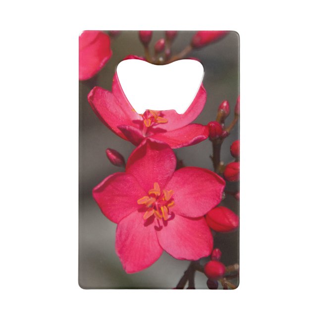 Rot und Rosa tropische Fidschi-Blume Geldkarten Flaschenöffner (Vorderseite)