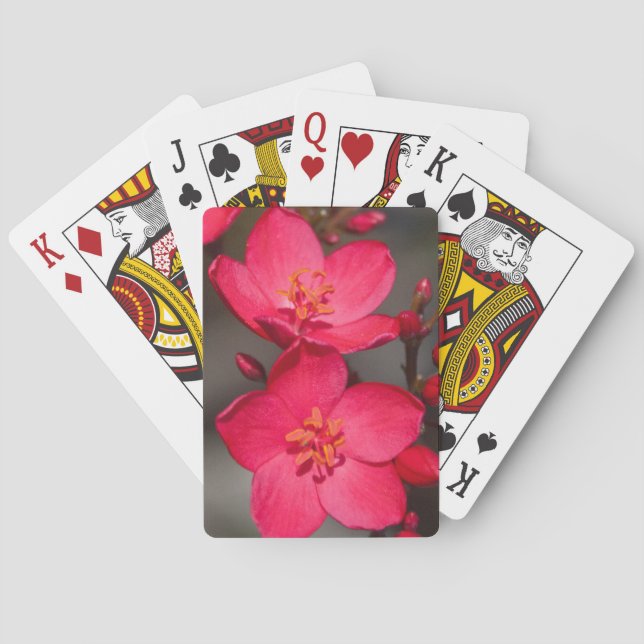 Rot und Rosa tropische Fidschi-Blume Spielkarten (Rückseite)