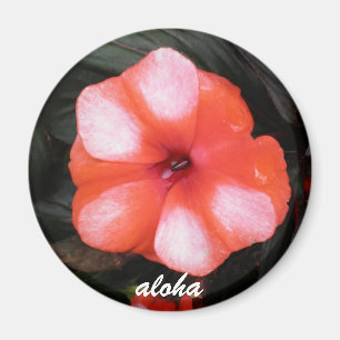 rot und Weiß aloha Magnet
