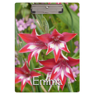 Rot und Weiß Gladiolas Sommer botanisch Klemmbrett