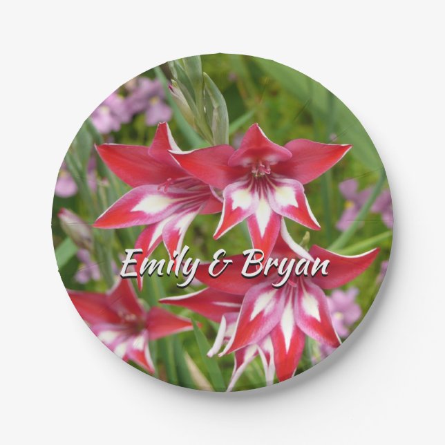 Rot und Weiß Gladiolas Sommer botanisch Pappteller (Vorderseite)
