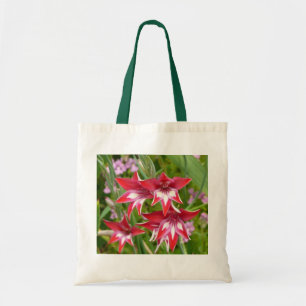 Rot und Weiß Gladiolas Sommer botanisch Tragetasche