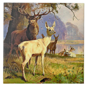 Rot und Weiß Hirsche in der Nähe eines Waldteiches Fliese