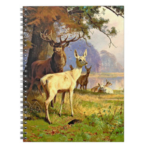 Rot und Weiß Hirsche in der Nähe eines Waldteiches Notizblock