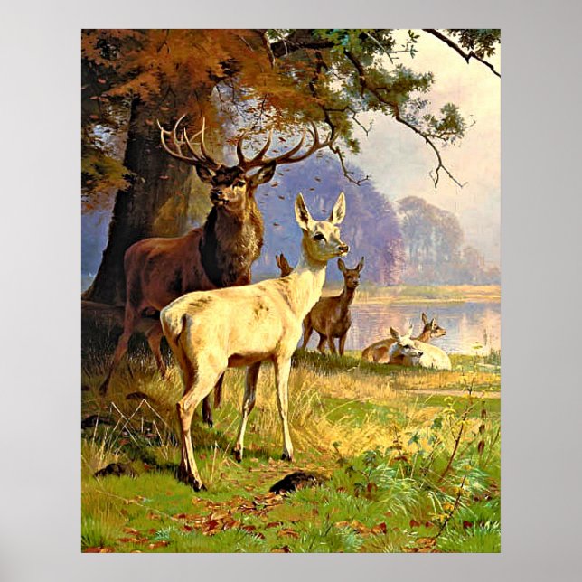 Rot und Weiß Hirsche in der Nähe eines Waldteiches Poster (Vorne)