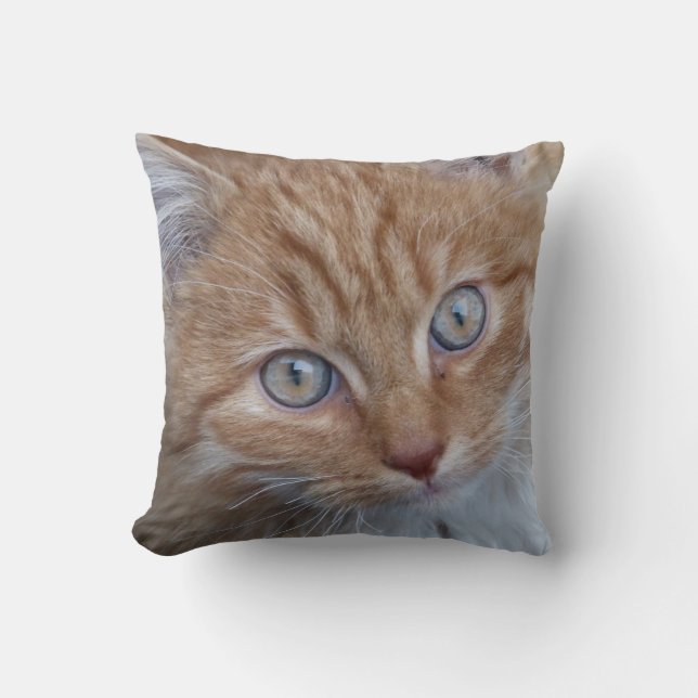 Rot und Weiß, langhaarig, Tabby-Katzen-Gesicht Kissen (Vorderseite)