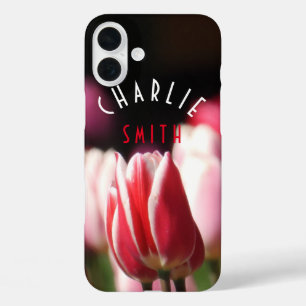 Rot und Weiß (und Rosa) Tulpen iPhone 16 Plus Hülle
