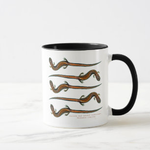 Rot unterstützte Salamanders Tasse