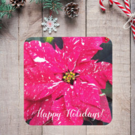 Rot variierte Poinsettia Blumenurlaub Getränkeuntersetzer