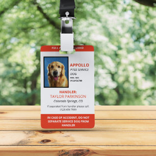 Rot-Weiß-Servicehund-Foto-ID Ausweis