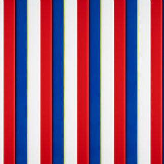 Rot weiß und Blau Leggings