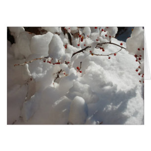 Rot, Weiß und Kälte