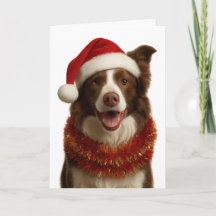 Rot-weiße Border Collie-Weihnachtskarte