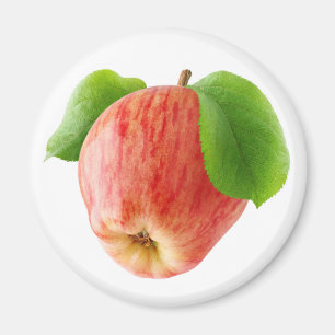 Rotapfel Magnet