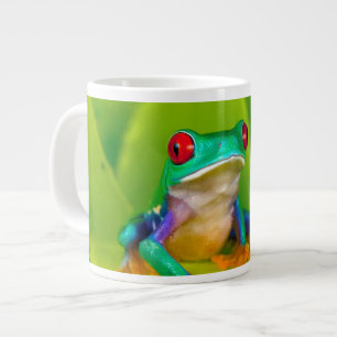 Rotaugelaubfrosch, Costa Rica Jumbo-Tasse