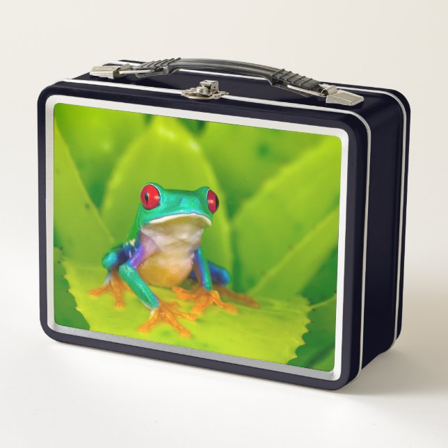 Rotaugelaubfrosch, Costa Rica Metall Brotdose (Vorderseite)
