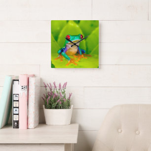 Rotaugelaubfrosch, Costa Rica Quadratische Wanduhr