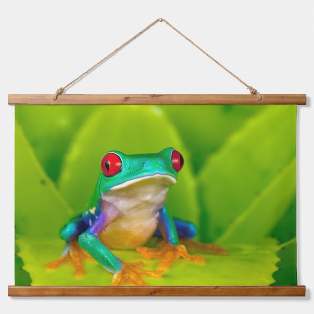 Rotaugelaubfrosch, Costa Rica Wandteppich Mit Holzrahmen (Vorne)