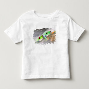 Rotaugelaubfrosch im Nebel, Agalychinis 2 Kleinkind T-shirt